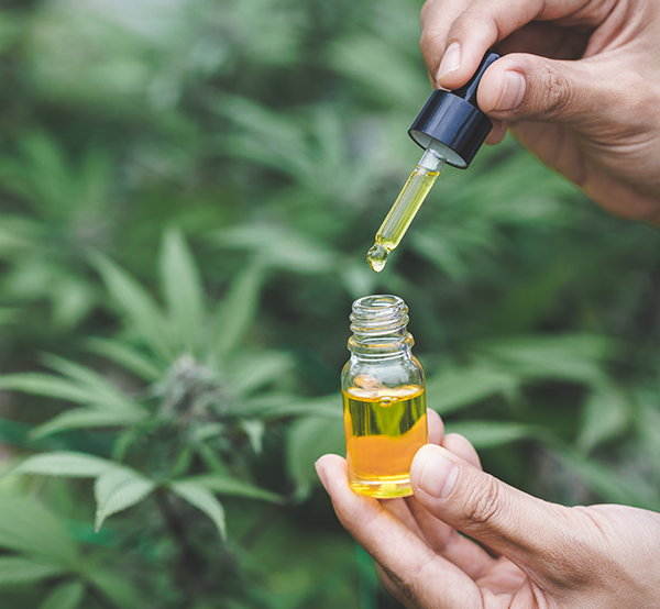 Cannabinoid testing